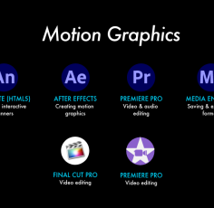 2 Skills - Motion Graphics Multiple Icons